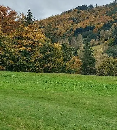 Apartman Schnucki *
