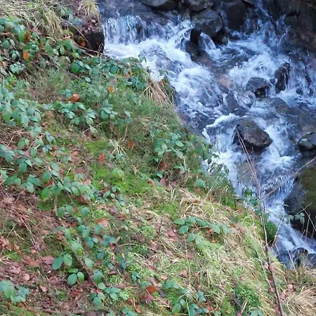 Schnucki Lautenthal