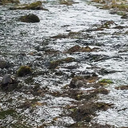 Apartmán Schnucki Lautenthal